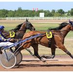 En ce jeudi de l’ascension, l’hippodrome vous ouvre ses portes à partir de 14h30 pour une réunion de 7 courses de trot ! En ce jeudi de l’ascension, l’hippodrome vous ouvre ses portes à partir de 14h30 pour une réunion de 7 courses de trot !
