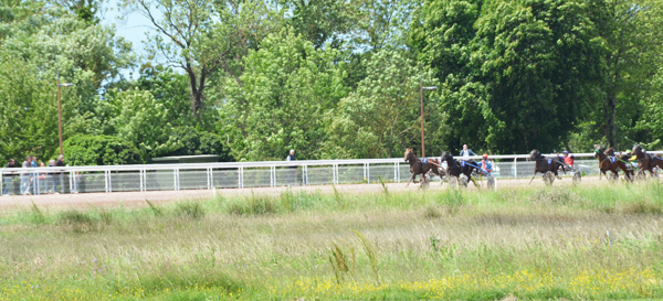 environnement hippodrome