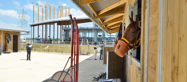 stalles hippodrome